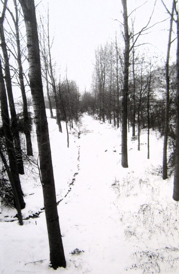 Quaregnon sous la neige – Image 10
