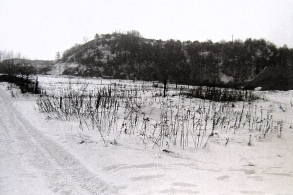 Quaregnon sous la neige – Image 18