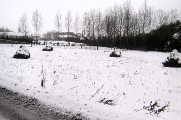 Quaregnon sous la neige – Image 19