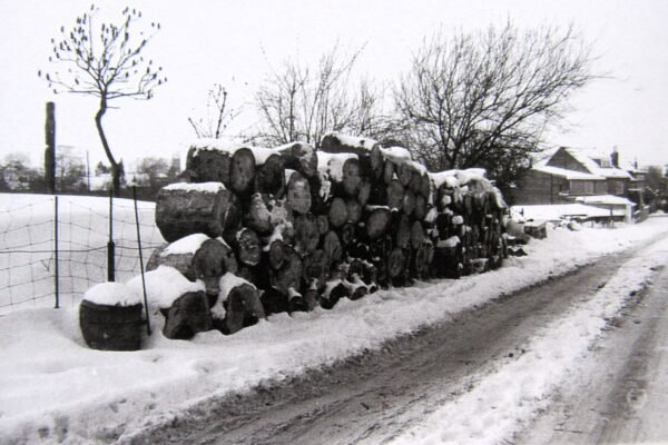 Quaregnon sous la neige – Image 21